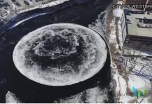 月亮降临地球?美国缅因州惊现圆形冰盘