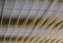 熔岩变建材 蘑菇取代塑料