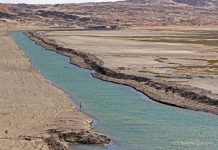 纳米比亚:世界尽头的冷酷仙境