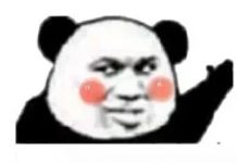 趣观世界|曾被特朗普嘲笑的女参议员沃伦宣布竞选美国总统!