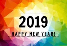 2019年 比利时新政一览