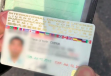 华人回中国持国际驾照开车被罚 可换领中国驾照