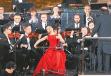 华侨华人欢庆新春:向世界讲述进步的中国