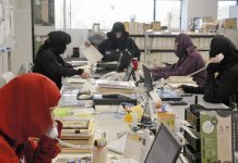 庆祝“忍者之日”!日本这地公务员穿忍者服上班