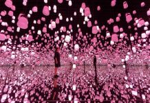 日本数字美术馆TeamLab Borderless推出春季主题艺术展