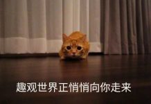 趣观世界|东京连发了两起扫地机器人“纵火”事件!