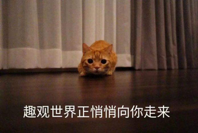 趣观世界|东京连发了两起扫地机器人“纵火”事件!