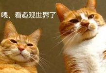 趣观世界|赴韩整容热度降温后,中国人开始流行起赴韩植发…