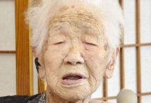 116岁世界最长寿老人来自日本 长寿秘诀是每天早上6点起床