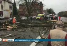 强风过境比利时:大风一直刮到这周三!