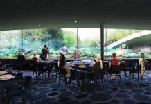 大熊猫即将定居 丹麦驻华大使全程护送