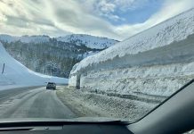 美国西部积雪深厚 穿越公路如入童话世界