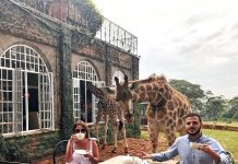 肯尼亚长颈鹿不当自己外人 “打劫”游客早餐