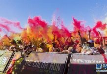 不一样的南非,妙趣丛生开普敦