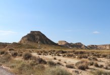 为什么去西班牙探险巴德纳斯沙漠?