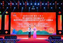 “感恩花梨情·醉美三月三”——东方市“两节”活动主题文艺晚会精彩上演