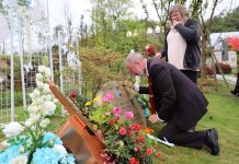 清明,澳夫妇来华以这种方式悼念儿子