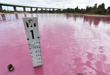 缤纷绚丽!围观各国多彩惊艳的湖光水色