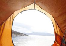 英背包客厌倦工作带着流浪猫骑车环球旅行