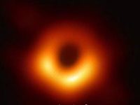 趣观世界|女子报警有”人”入侵 警察破门发现竟然是……