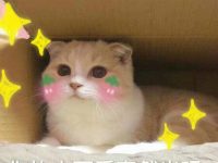 趣观世界|陪男友看复联4 却收到一份”观影要求”