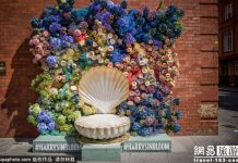 为什么英国人这么热爱切尔西花展?