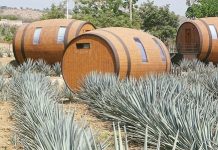 墨西哥酒庄建”木桶酒店””酒瓶巴士”受青睐