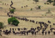 如何从非洲大地开启一段不一般的旅行?