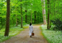 德国隐世湖心小岛,一岛一人一世界