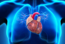 新研究:特定胎盘干细胞可修复受损心脏