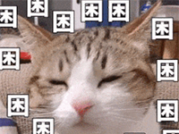 趣观世界|伦敦新来了“路况主播”:两只海鸥……