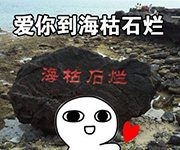 趣观世界|女侍者错上四万块红酒,老板做法超有爱!