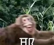 趣观世界|睡着都能“剁手”?英女子患病睡梦中疯狂网上购物