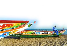 不一样的塞内加尔“赛龙舟”:不翻船不赢