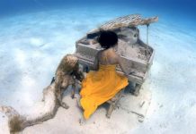 巴哈马小哥拍水下钢琴师 “美人鱼”侧耳倾听