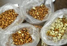 新研究:补充特定肠道细菌能治疗食物过敏