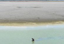 比同月平均值高近1摄氏度 报告:上月是全球140年来最热6月