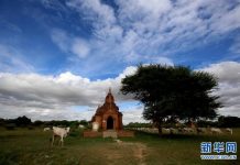 蒲甘古城被列入世界遗产名录