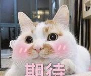 趣观世界|笑掉头!美国举行奇葩“霸王龙”赛跑