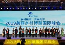 2019美丽乡村博鳌国际峰会:张宁、斯琴高娃等为欠发达乡村公益代言