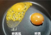 趣观世界|最受欢迎的便当中竟放“人造鸡蛋”,看成分你还敢吃吗?