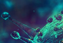 International society calls for strengthened solidarity in fight against novel coronavirus epidemic