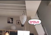 【我在比利时“抗疫”的日子】征集视频分享:《小妞家里蹲日记》