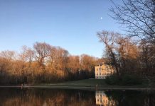 【我在比利时“抗疫”的日子】征集图片分享:《布村儿别样美》