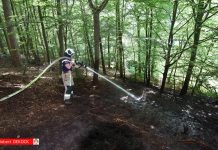 封禁引人们涌入森林 破坏生态环境 还差点酿成大祸(火)