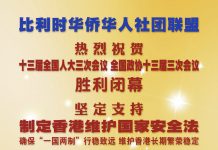 比利时华侨华人社团联盟支持制定香港维护国家安全法