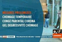 【公民,个体户和企业】比利时政府发布第三波帮扶计划