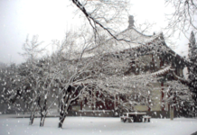 好冷好激动!来看看海南历史上的“第一场雪”|闲话海南