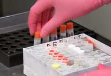 【新冠疫苗】荷法意德联手定了3亿支,比利时呢?