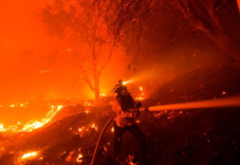 教育部取消留学回国人员证明丨国际热点速递